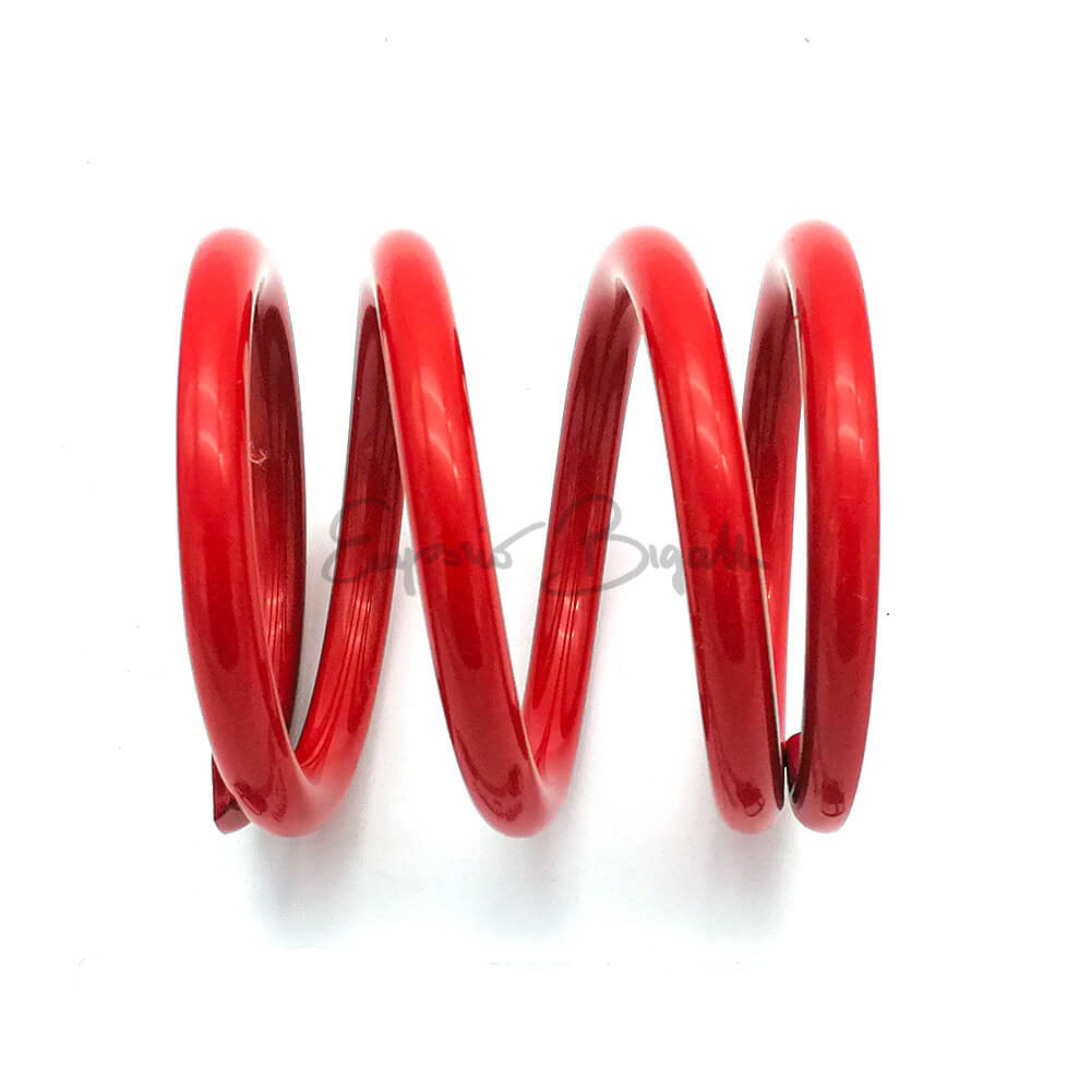 Molla Supporto Motore Rinforzata Fiat 500 F/L - Foto 8