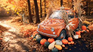 Fiat 500 d'epoca, corallo, in un bosco autunnale, tra fogliame secco, zucche e fauna selvatica. Ricambi.