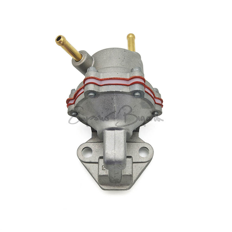 Pompa Benzina BCD Alta Qualità per Fiat 126 e 500 con Alternatore