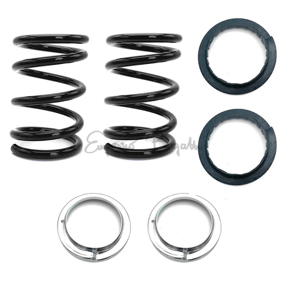2 Molle Di Sospensione Posteriori Per Fiat Panda 169 1.2 E 1.3 (2004-2012) - Ricambio 51780554, Lunghezza 316 Mm